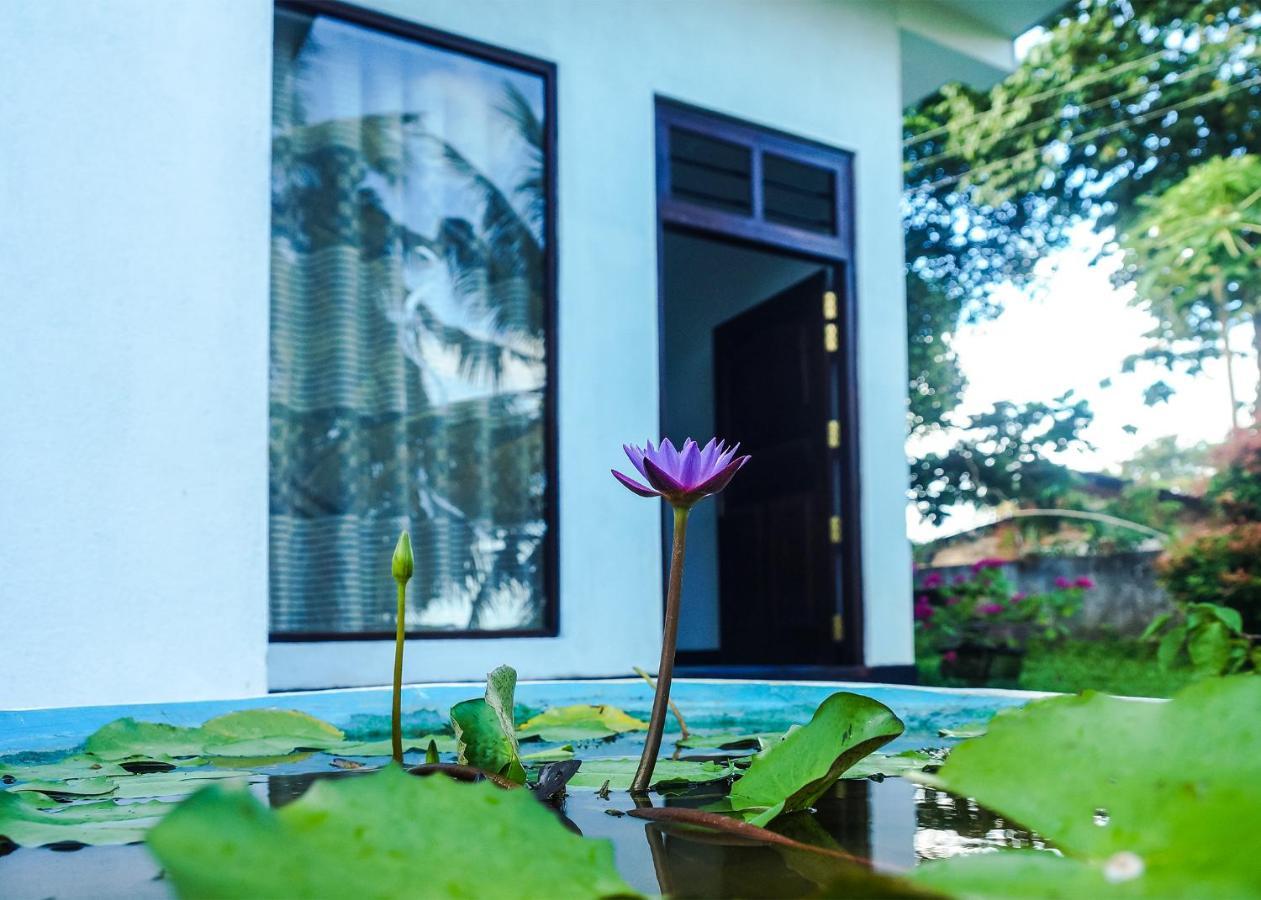 Plantation Inn Weligama Ngoại thất bức ảnh