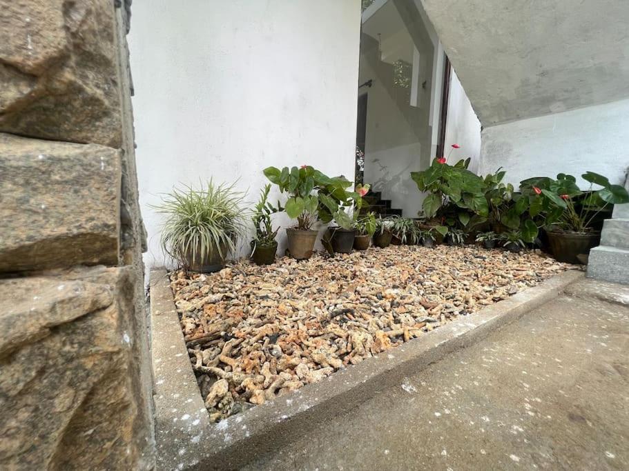 Plantation Inn Weligama Ngoại thất bức ảnh